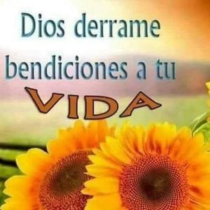 Meet your Posher, Jose